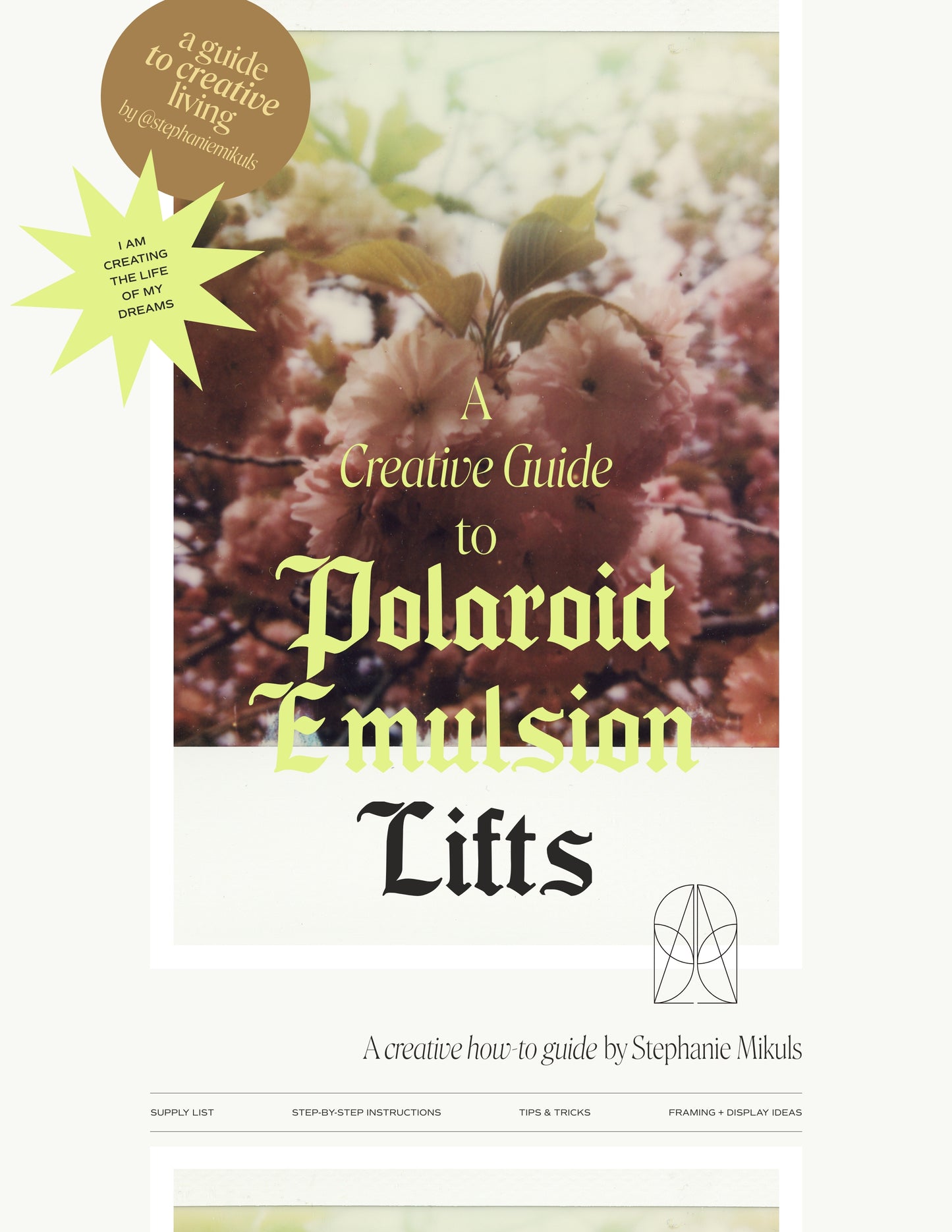 Creative Guide to Polaroid Emulsion Lifts