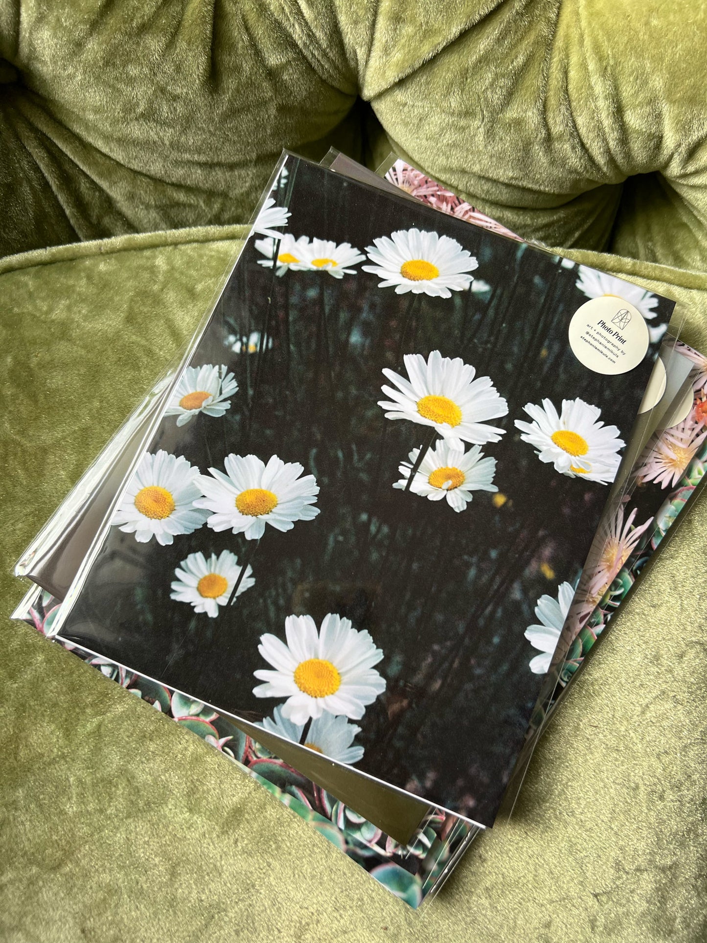 Daisies - Film Photo Print