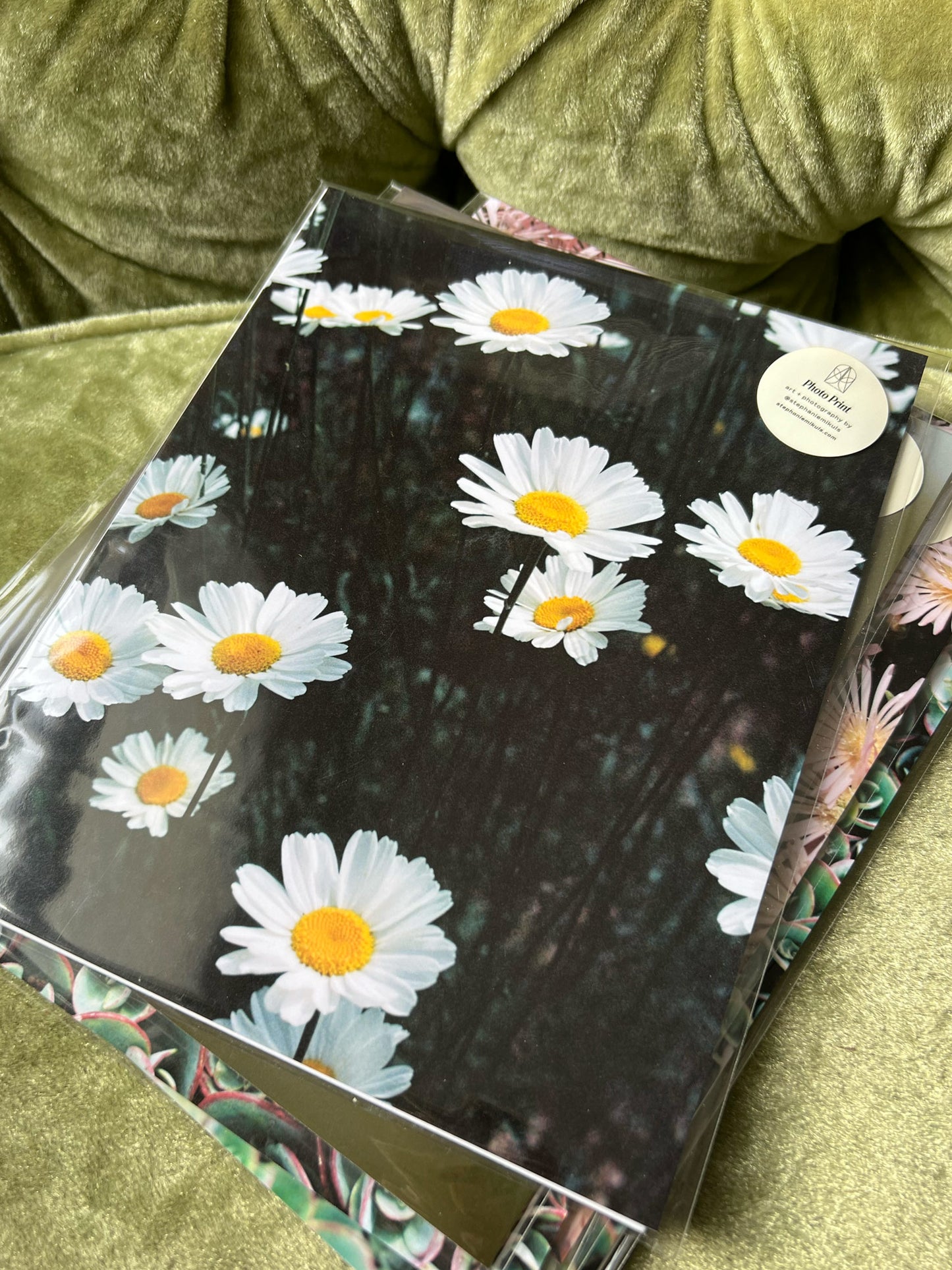 Daisies - Film Photo Print