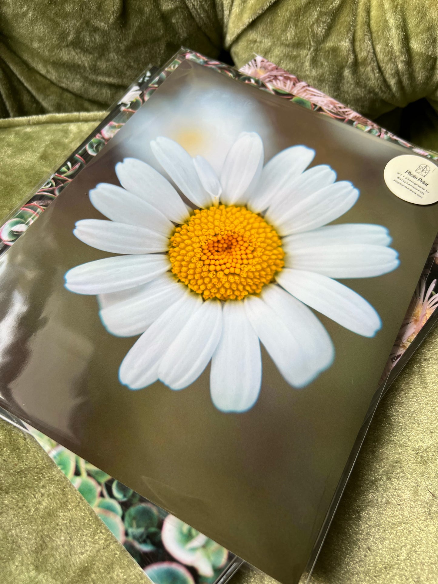 Flower Power Daisy - photo print