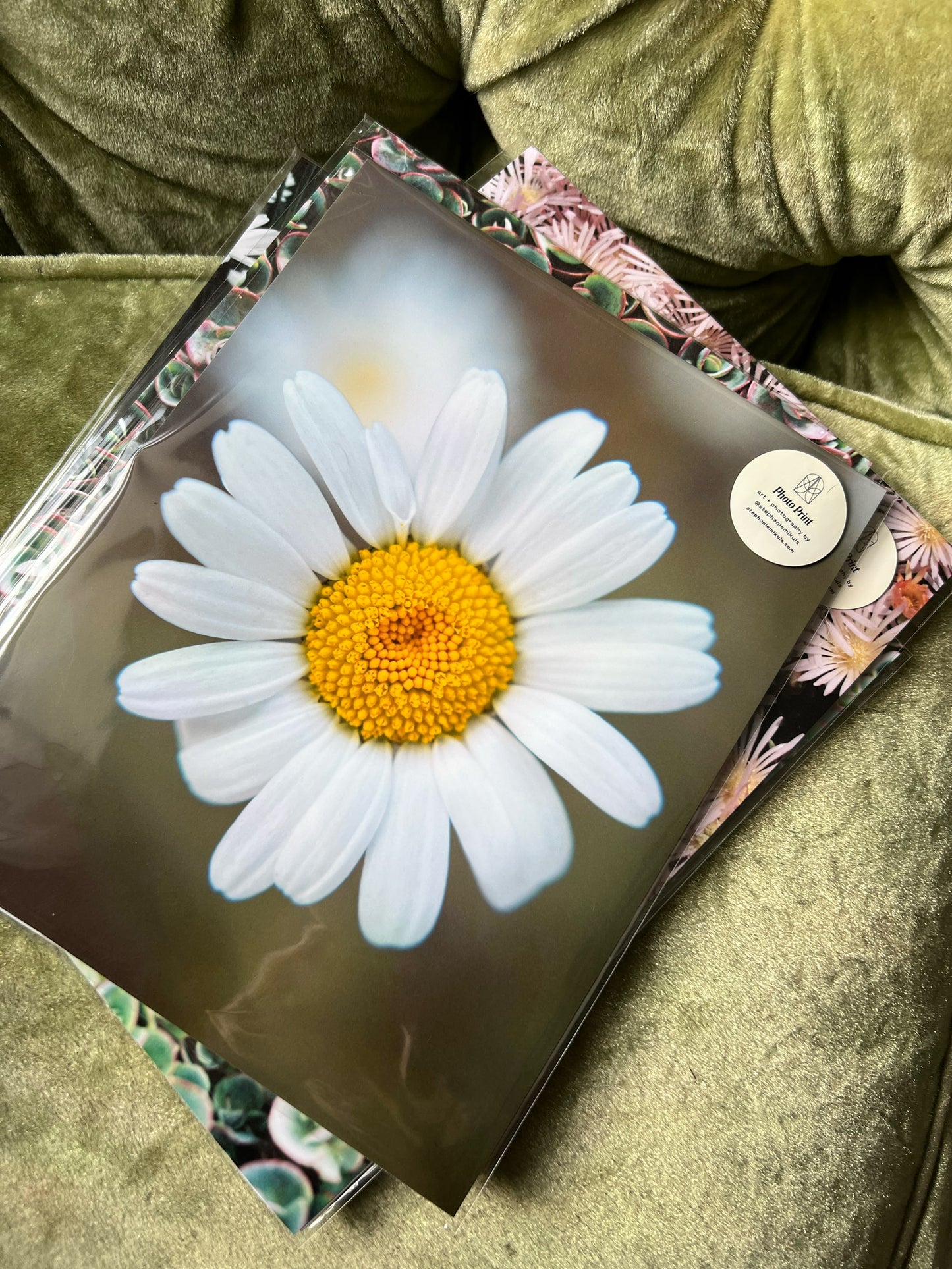 Flower Power Daisy - photo print