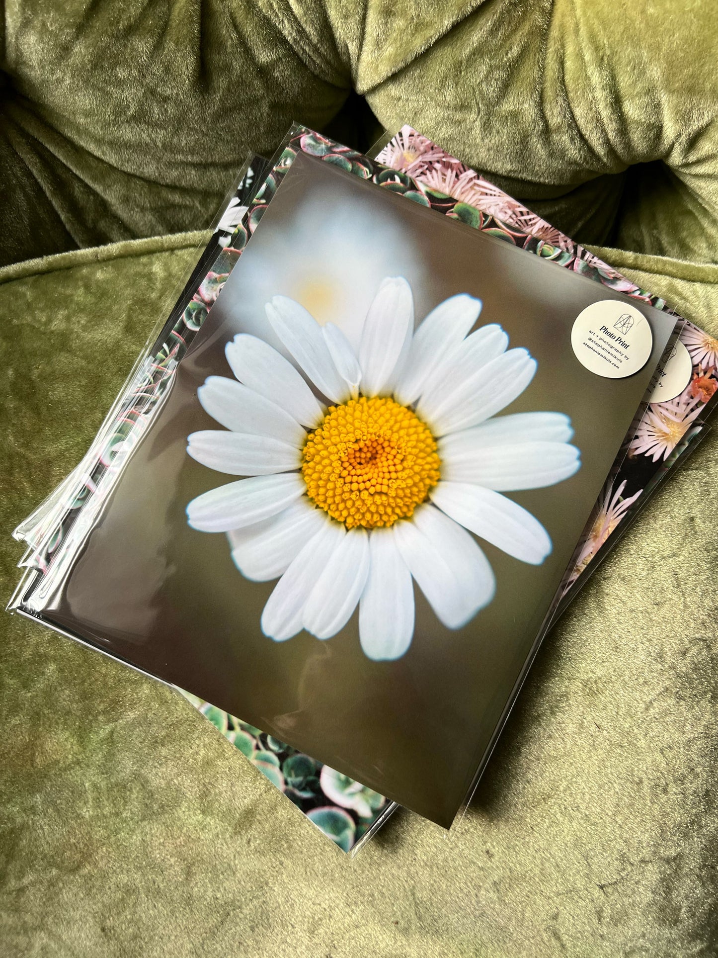 Flower Power Daisy - photo print
