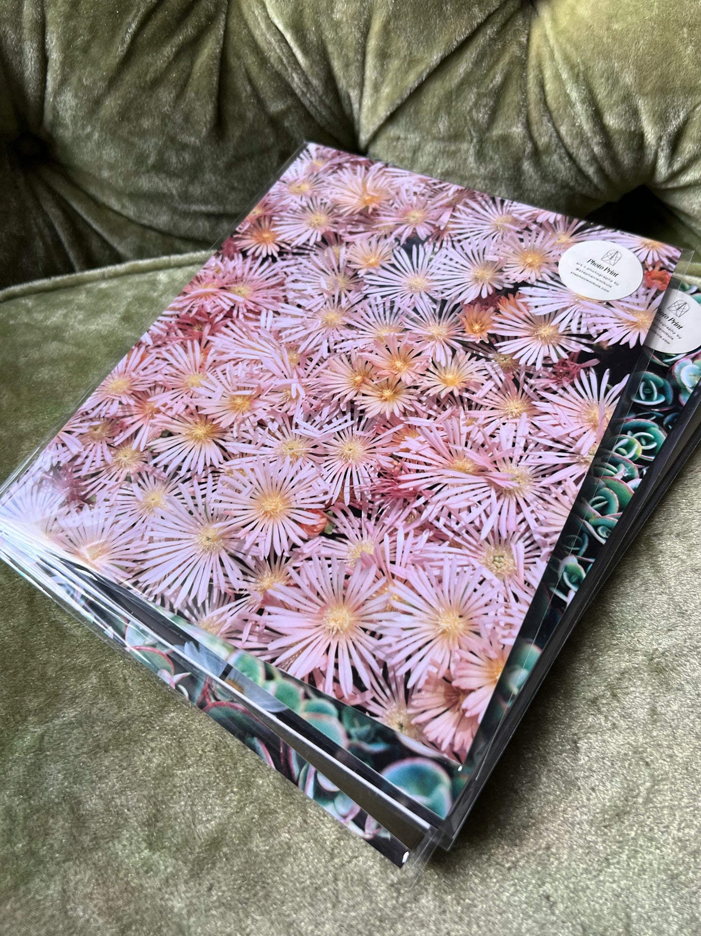 Pink Flowers—Film Photo Print