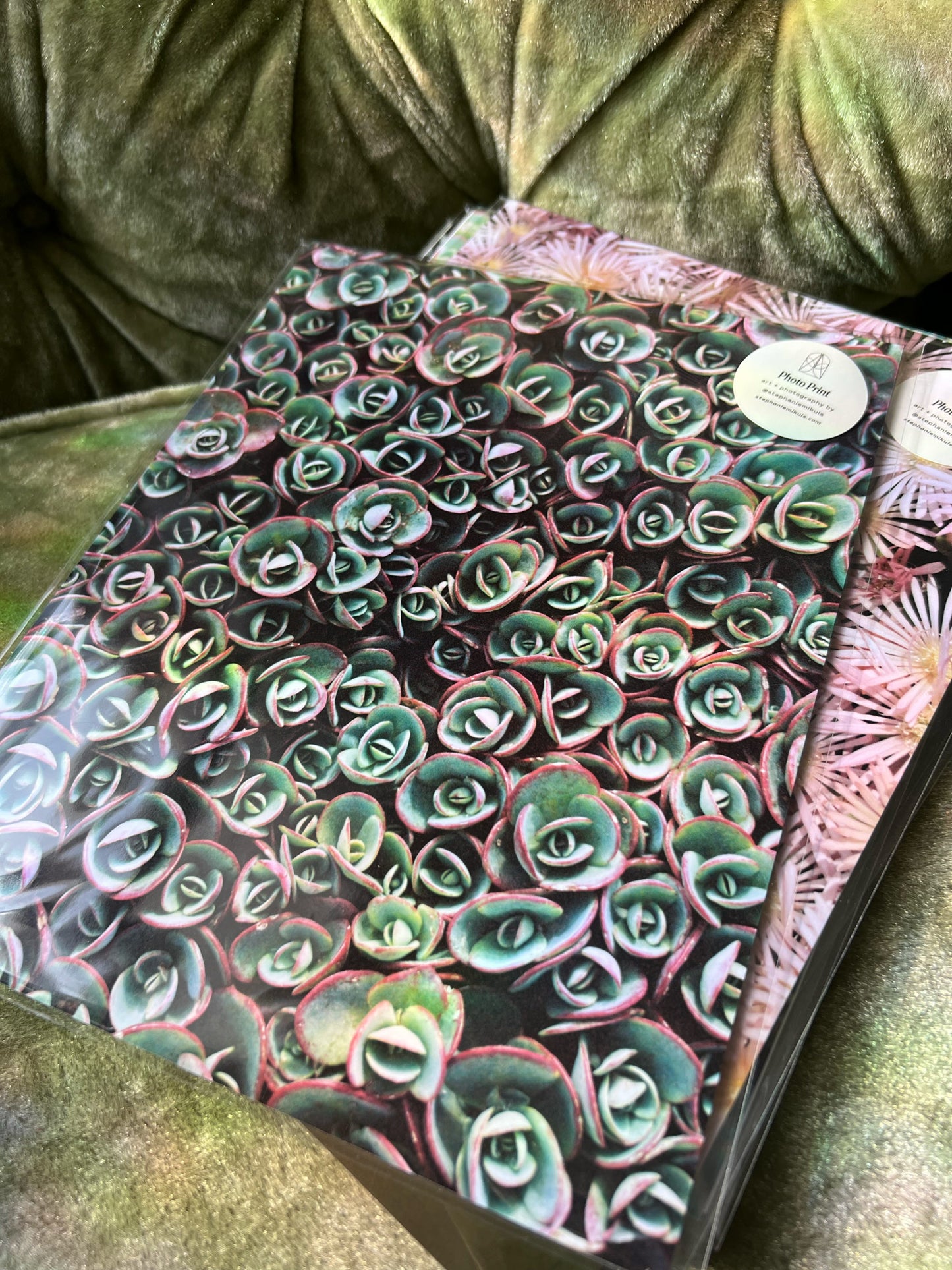 Succulent Pattern 2 - Film Photo Print