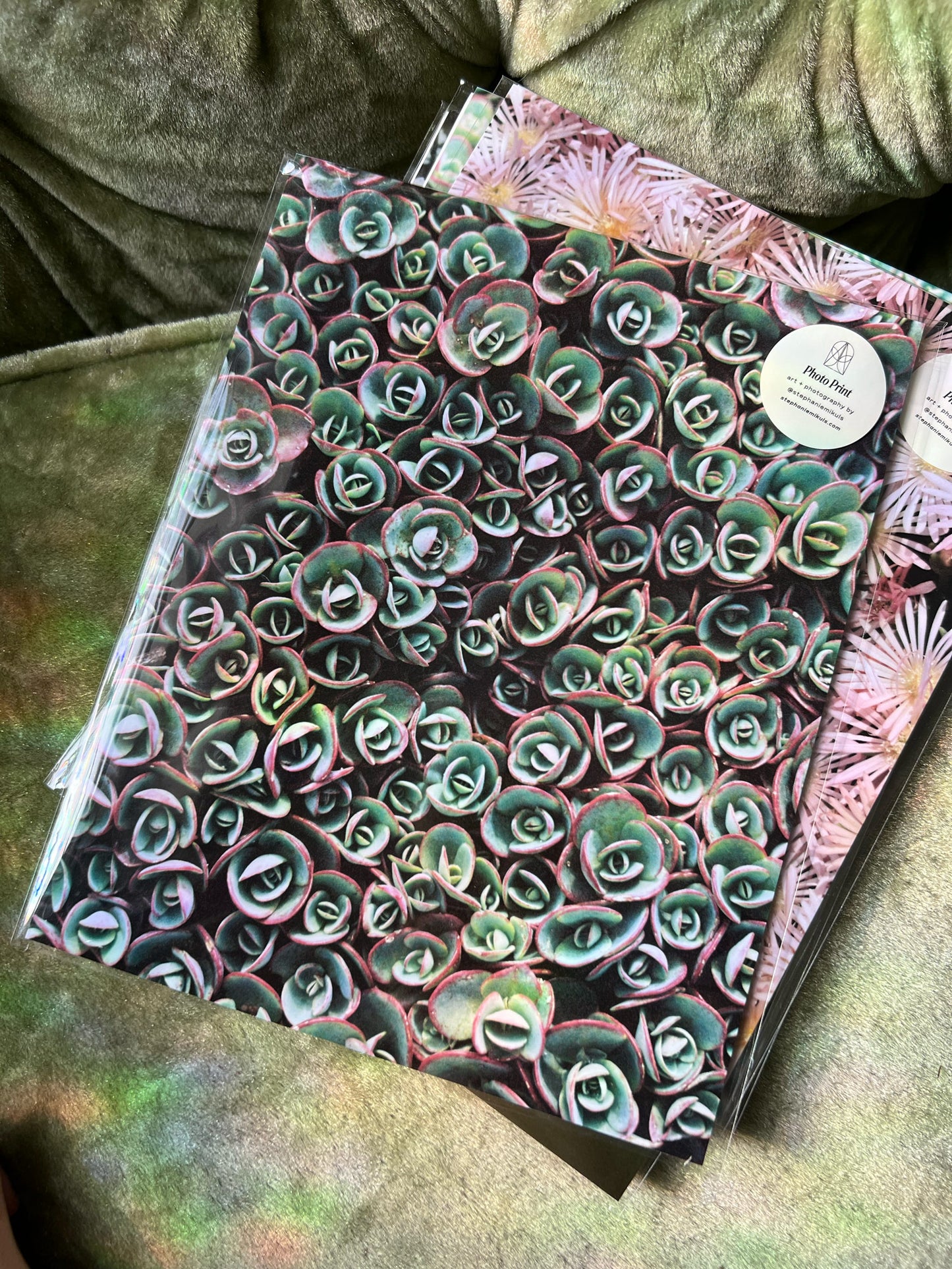 Succulent Pattern 2 - Film Photo Print