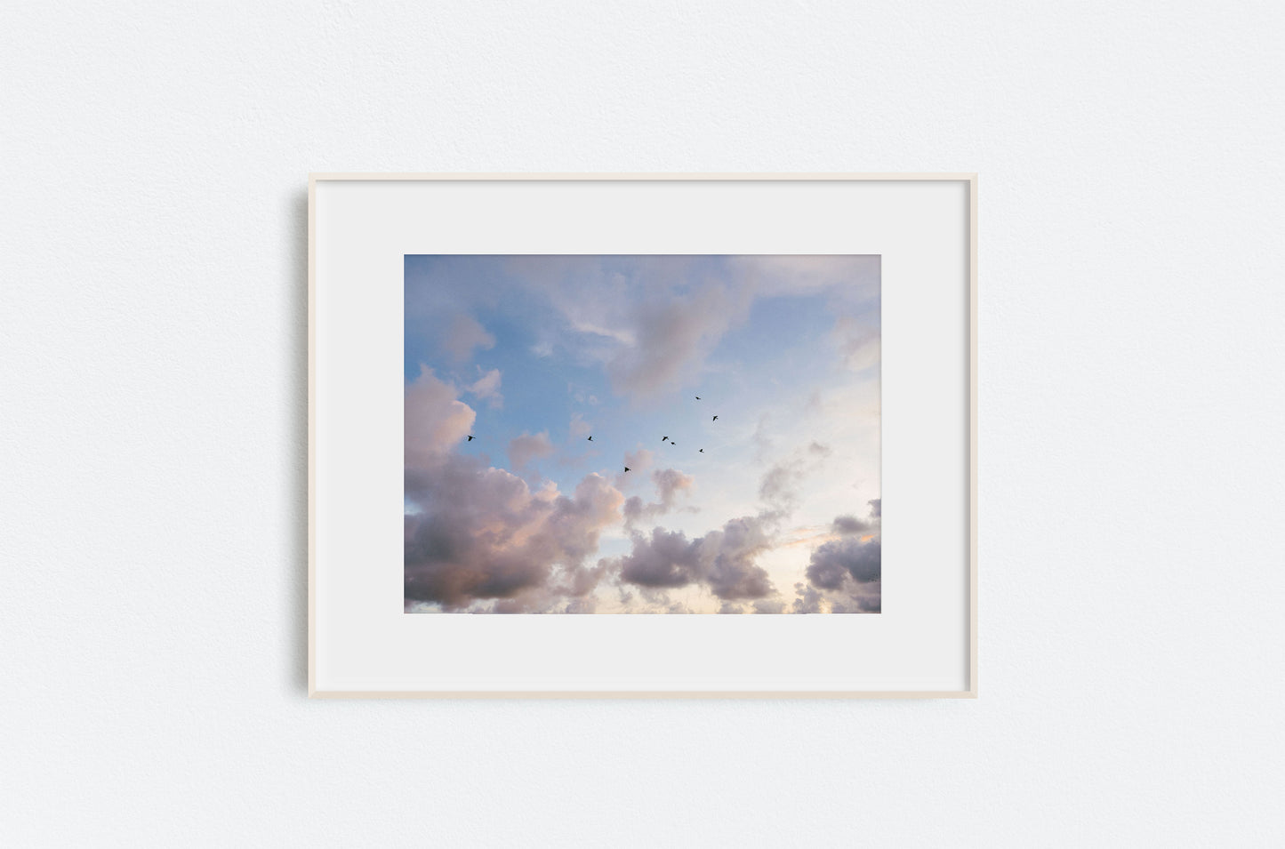 Sky Birds print