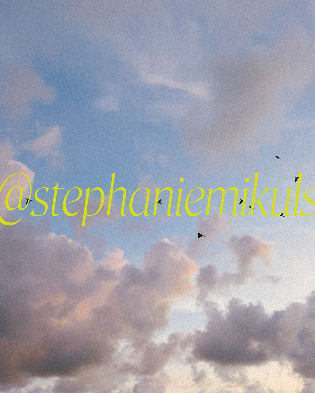 Sky Birds print