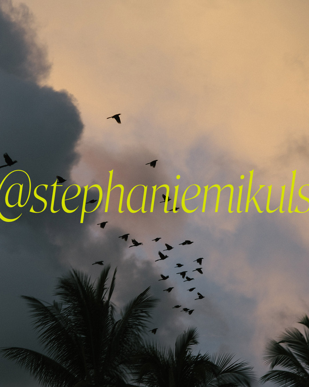 Tropical Sky Birds print