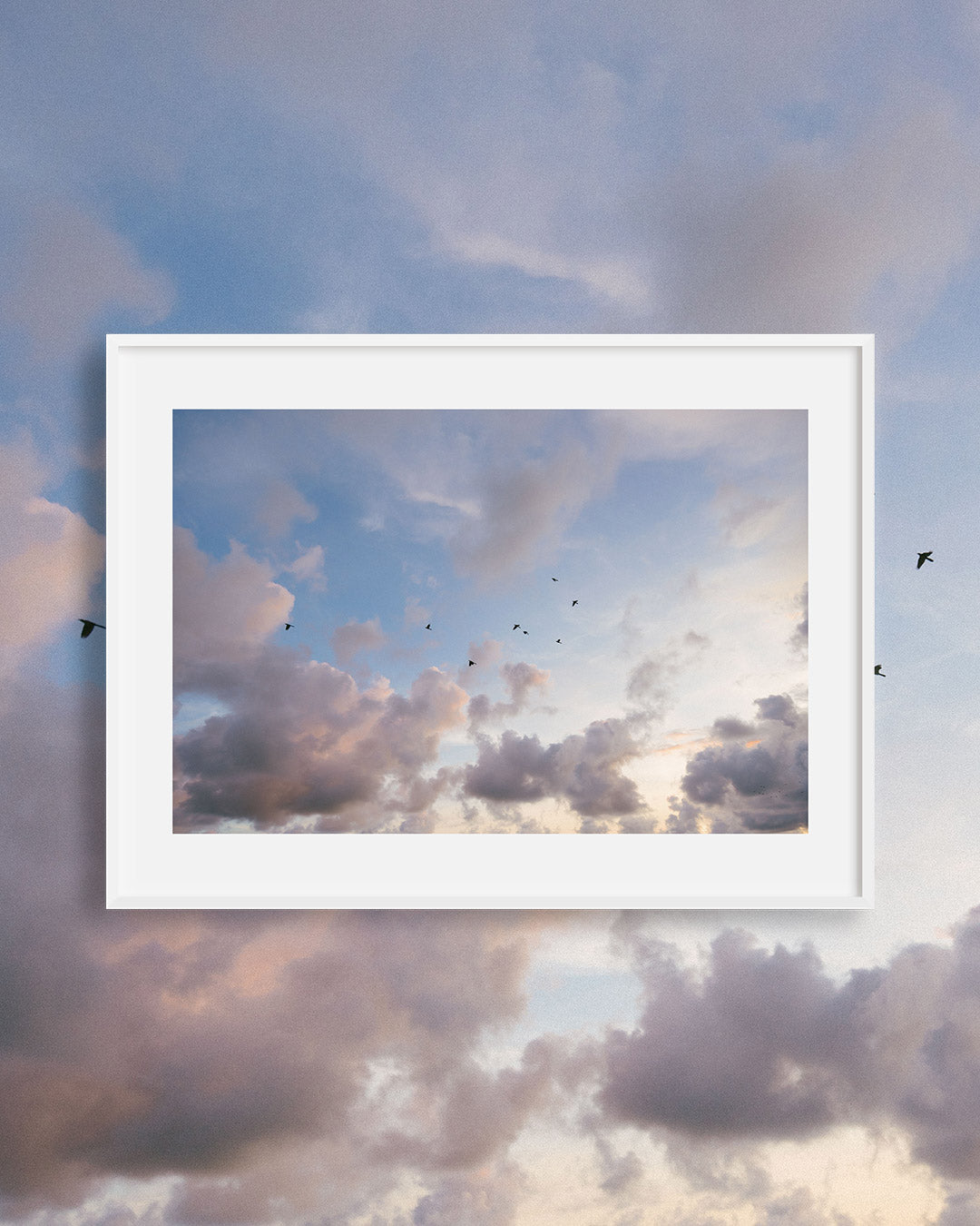 Sky Birds print