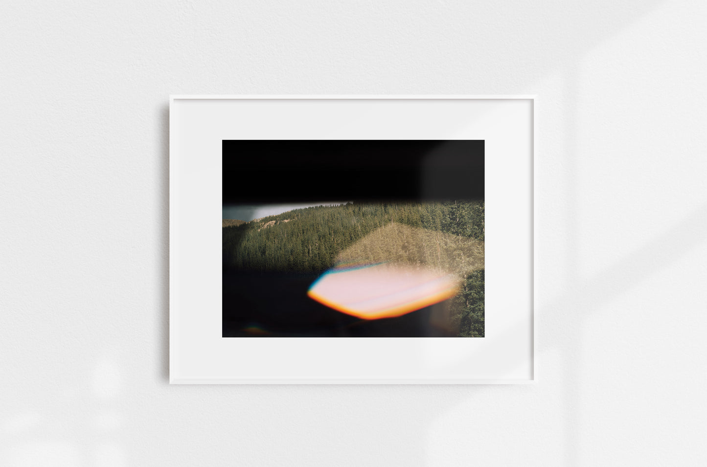 Pink Flare Pines print