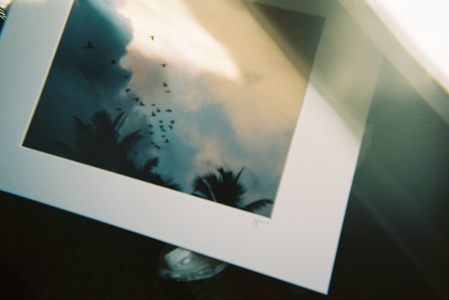Tropical Sky Birds print