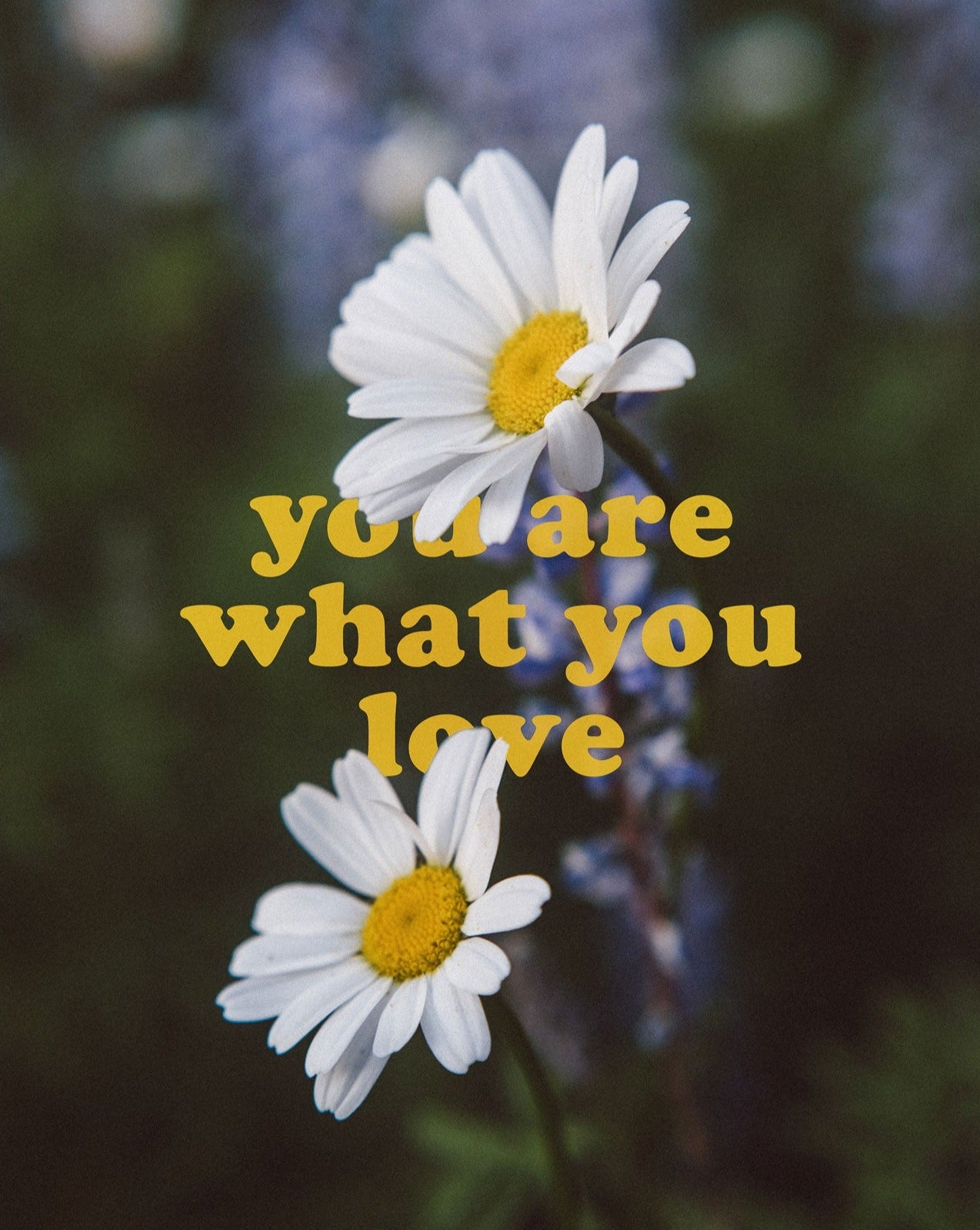 Affirmation Postcard Pack