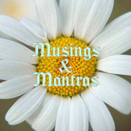 Musings & Mantras | Email Newsletter