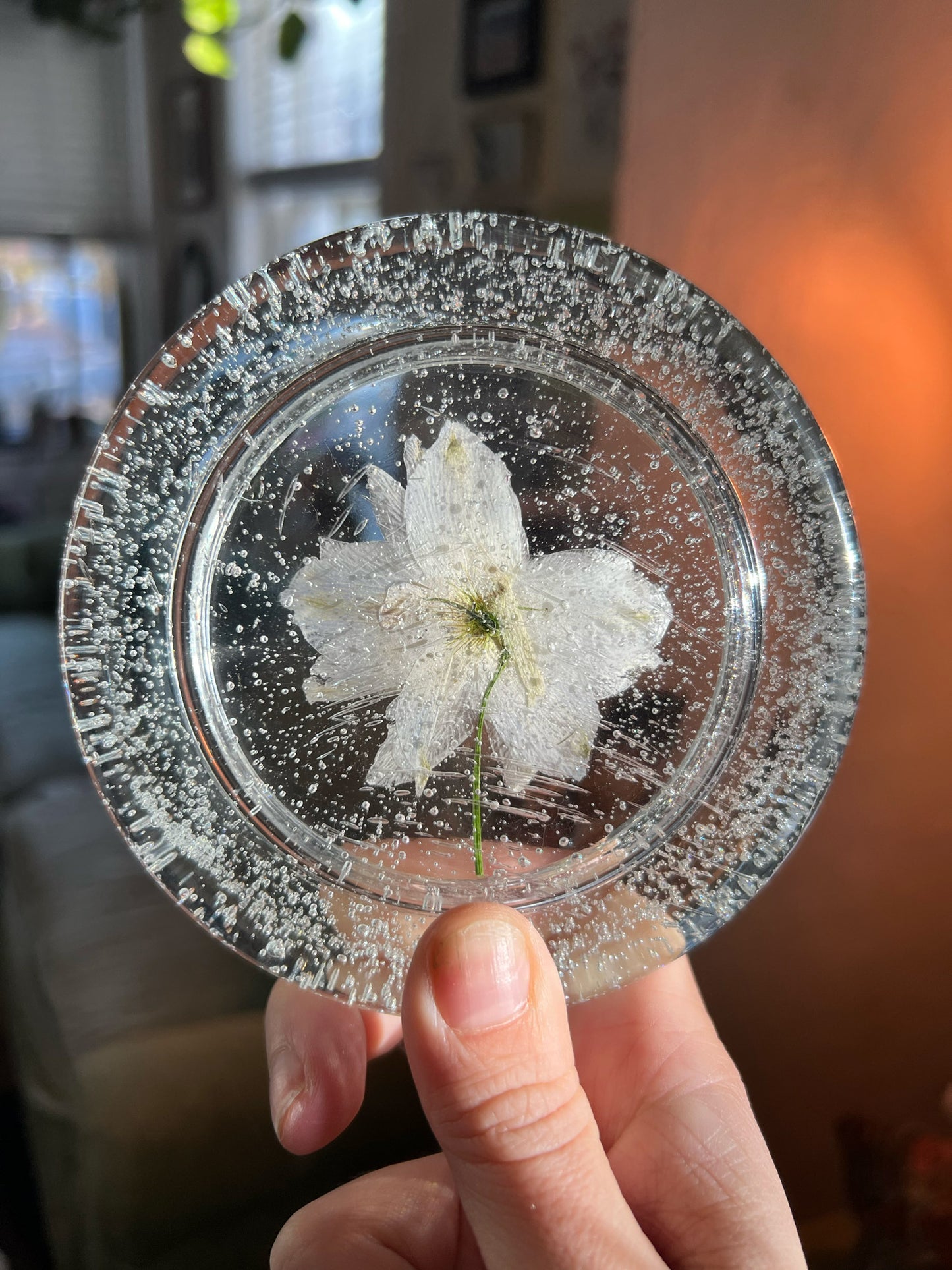 Pressed Flower Bubble Tray