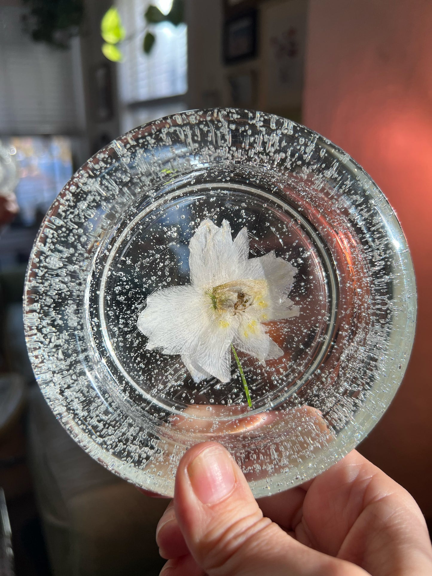 Pressed Flower Bubble Tray