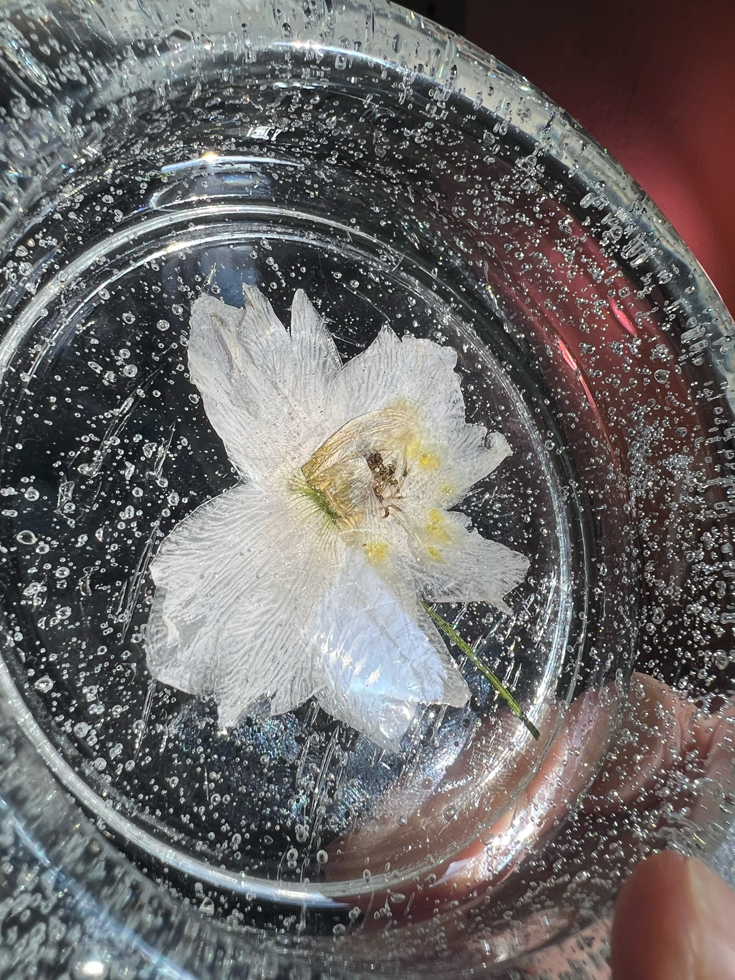 Pressed Flower Bubble Tray