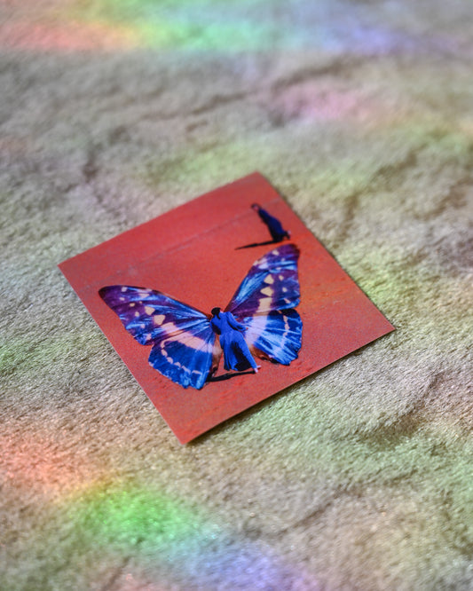 Butterfly Collage sticker