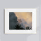 Tropical Sky Birds print