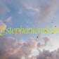 Sky Birds print