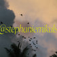 Tropical Sky Birds print