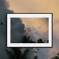 Tropical Sky Birds print