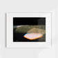 Pink Flare Pines print